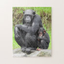 Suche nach schimpanse puzzle Primat