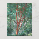Suche nach blank postkarten Baum