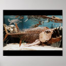 Suche nach dinosaurier skelett poster Prähistorisch