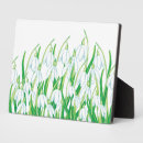 Suche nach beileid fotoplatten Blume