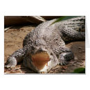 Suche nach croce postkarten Krokodile