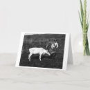 Suche nach rene karten Fotografie