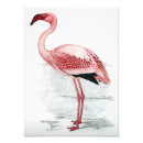 Suche nach schnabel poster Vogel