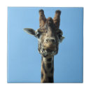 Suche nach giraffe fliesen Natur