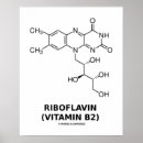 Suche nach molekül poster Chemie