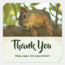 Suche nach eichhörnchen aufkleber Niedlich