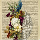 Suche nach brain poster Doctor