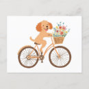 Suche nach rosa fahrrad postkarten Bunt