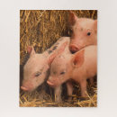 Suche nach ferkel puzzle Niedlich