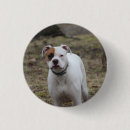 Suche nach niedliches kaninchen buttons Für sie