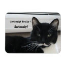 Suche nach lustige witze magnete Schwarz