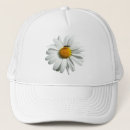Suche nach wildblumen kappen Sommer