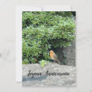 Suche nach der hals karten Vogel