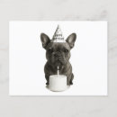 Suche nach französische bulldoggen postkarten Geburtstag