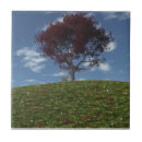 Suche nach japanisch fliesen Ruhig