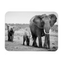 Suche nach kenia magnete Horizontal