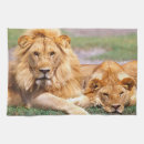 Suche nach löwe geschirr tücher Panthera leo