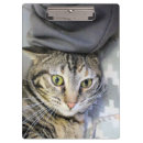 Suche nach wütend klemmbrett Katze