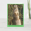 Suche nach meerkat karten Lustig