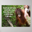 Suche nach orang utan poster Dschungel