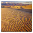 Suche nach sanddünen fliesen Wüste