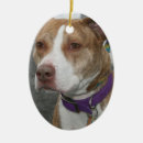 Suche nach pitbull ornamente Verzierung