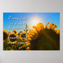 Suche nach blumenfeld poster Sonnenblume