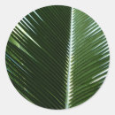 Suche nach palmen aufkleber Palmfronten