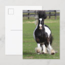 Suche nach vanner poster Laufen