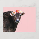 Suche nach cowen postkarten Farm
