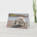 Suche nach schwan karten Niedlich