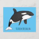 Suche nach killerwal postkarten Orca