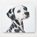 Suche nach dalmation Hund