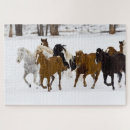 Suche nach laufendes pferd puzzle Schnee