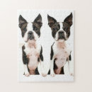 Suche nach boston terrier puzzle Tier