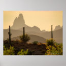 Suche nach südwesten poster Sonorische wüste