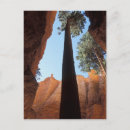Suche nach bryce canyon national park postkarten Landschaft