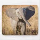 Suche nach afrikanischer elefant mousepads Wilde tiere
