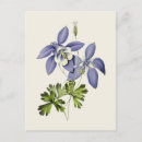 Suche nach vintage illustration postkarten Botanisch
