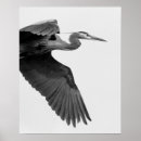 Suche nach crop poster Groß