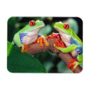 Suche nach rote augen magnete Rica costa