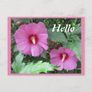 Suche nach ros postkarten Blüten