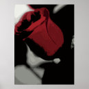 Suche nach single rose poster Schön