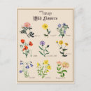 Suche nach viktorianische blumen postkarten Vintage