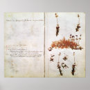 Suche nach herbarium poster Rousseau