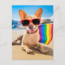 Suche nach stolzparade postkarten Regenbogen