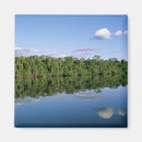 Suche nach amazonas magnete Regenwald