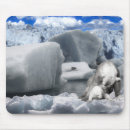 Suche nach eisbär mousepads Wild