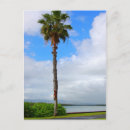 Suche nach wasser und himmel postkarten Hawaii