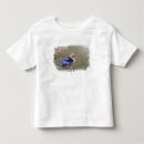 Suche nach eisvogel tshirts Wildtiere